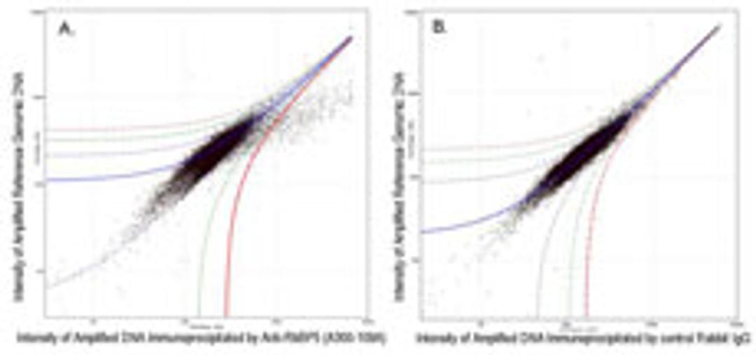 ChIP-chip scatter plot of anti-RbBP5 (A300-109A) enriched DNA binding sites versus input reference DNA.