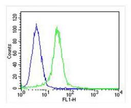 Overlay histogram showing Hela cells stained with Antibody (green line). The cells were fixed with 2% paraformaldehyde (10 min) and then permeabilized with 90% methanol for 10 min. The cells were then icubated in 2% bovine serum albumin to block non-speci