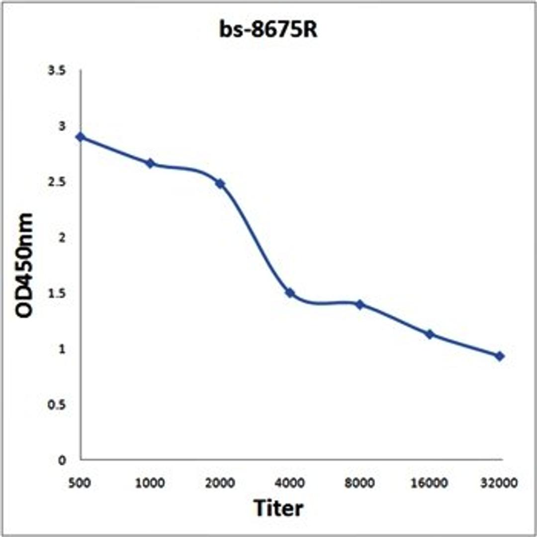 Line graph illustrates about the sensitivity range of BDKRB1 antibody using different concentrations.