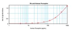 To detect hPersephin by sandwich ELISA (using 100 ul/well antibody solution) a concentration of 0.5 - 2.0 ug/ml of this antibody is required. This antigen affinity purified antibody, in conjunction with ProSci’s Biotinylated Anti-Human Persephin (38-120) 