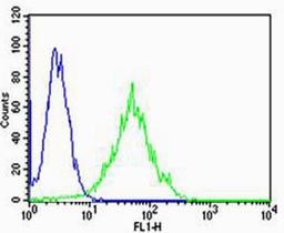 Flow cytometric analysis of Hela cells using PSEN2(Presenilin-2 NTF subunit) Antibody (N-term)(green) compared to an isotype control of rabbit IgG(blue). Antibody was diluted at 1:25 dilution. An Alexa Fluor 488 goat anti-rabbit lgG at 1:400 dilution was