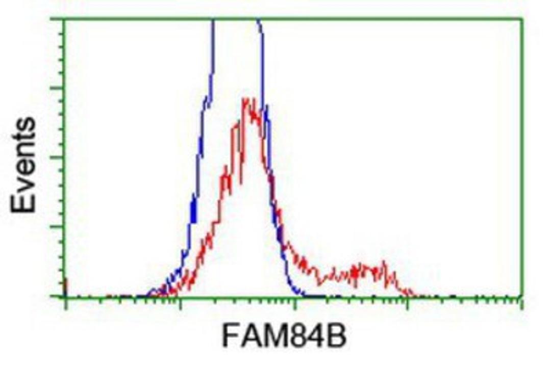 Flow Cytometry: FAM84B Antibody (1D12) [NBP2-03263] - HEK293T cells transfected with either overexpression plasmid (Red) or empty vector control plasmid (Blue) were immunostained by anti-FAM84B antibody, and then analyzed by flow cytometry.