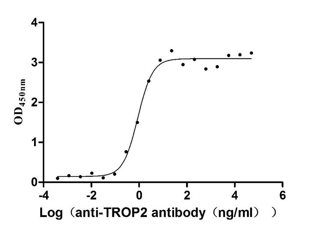The Binding Activity of Huamn TROP2 with Anti-TROP2 recombinant Antibody. Activity: Measured by its binding ability in a functional ELISA. Immobilized Human TROP2 (CSB-MP023072HU1d7) at 2 μg/mL can bind Anti-TROP2 recombinant antibody, the EC<sub>50</sub> is 0.7284-1.075 ng/mL.