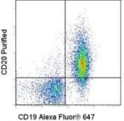 Flow Cytometry: MS4A1/CD20 Antibody (AISB12) [NBP1-43435] - Staining of BALB/c splenocytes with Anti-Mouse CD19 Alexa Fluor (R) 647 and 1.0 micrograms conjugated anti-Mouse CD20 Purified followed by Anti-Rat IgG PE. Quadrant lines represent Rat IgG2a isotype control staining levels and cells in the lymphocyte gate were used for analysis.