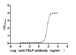 The Binding Activity of Human TSLP(R127A,R130A) with Anti-TSLP recombinant antibody. Activity: Measured by its binding ability in a functional ELISA. Immobilized human TSLP(R127A,R130A)(CSB-MP025141HU(M)) at 2 μg/mL can bind Anti-TSLP recombinant antibody. The EC<sub>50</sub> is 52.55-58.67 ng/mL.