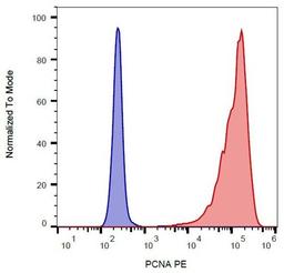 Flow cytometric analysis of K562 cells using PCNA antibody (PE)