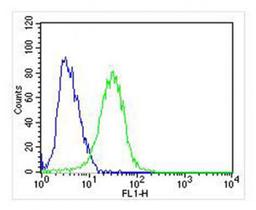 Overlay histogram showing SH-SY5Y cells stained with Antibody (green line). The cells were fixed with 2% paraformaldehyde (10 min). The cells were then icubated in 2% bovine serum albumin to block non-specific protein-protein interactions followed by the