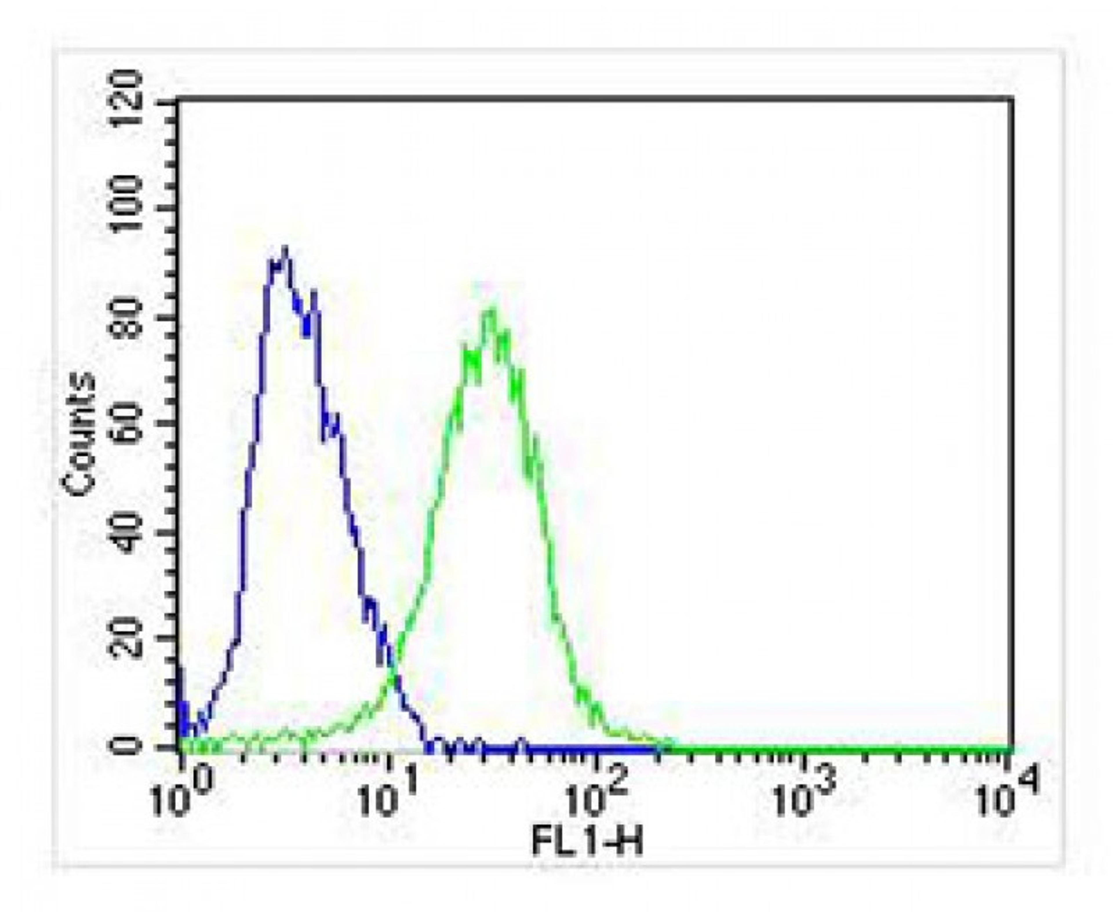 Overlay histogram showing SH-SY5Y cells stained with Antibody (green line). The cells were fixed with 2% paraformaldehyde (10 min). The cells were then icubated in 2% bovine serum albumin to block non-specific protein-protein interactions followed by the