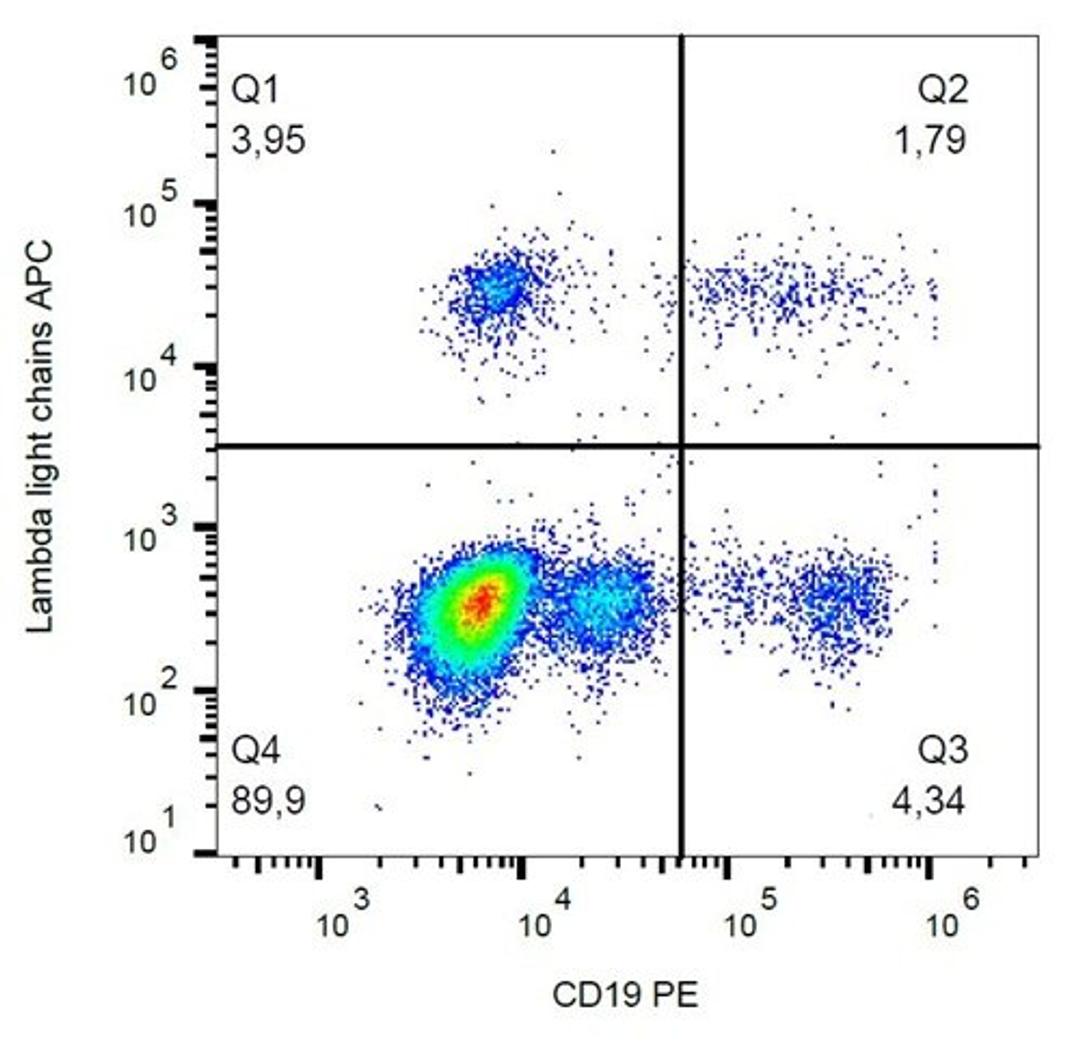 Flow cytometric analysis of human peripheral blood cells using Lambda light chains antibody (APC)