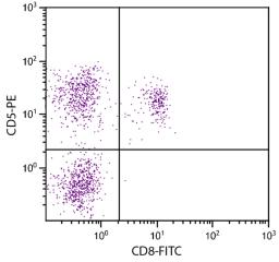 Feline peripheral blood lymphocytes were stained with Mouse Anti-Feline CD5-PE (Cat. No. 99-192) and Mouse Anti-Feline CD8-FITC .