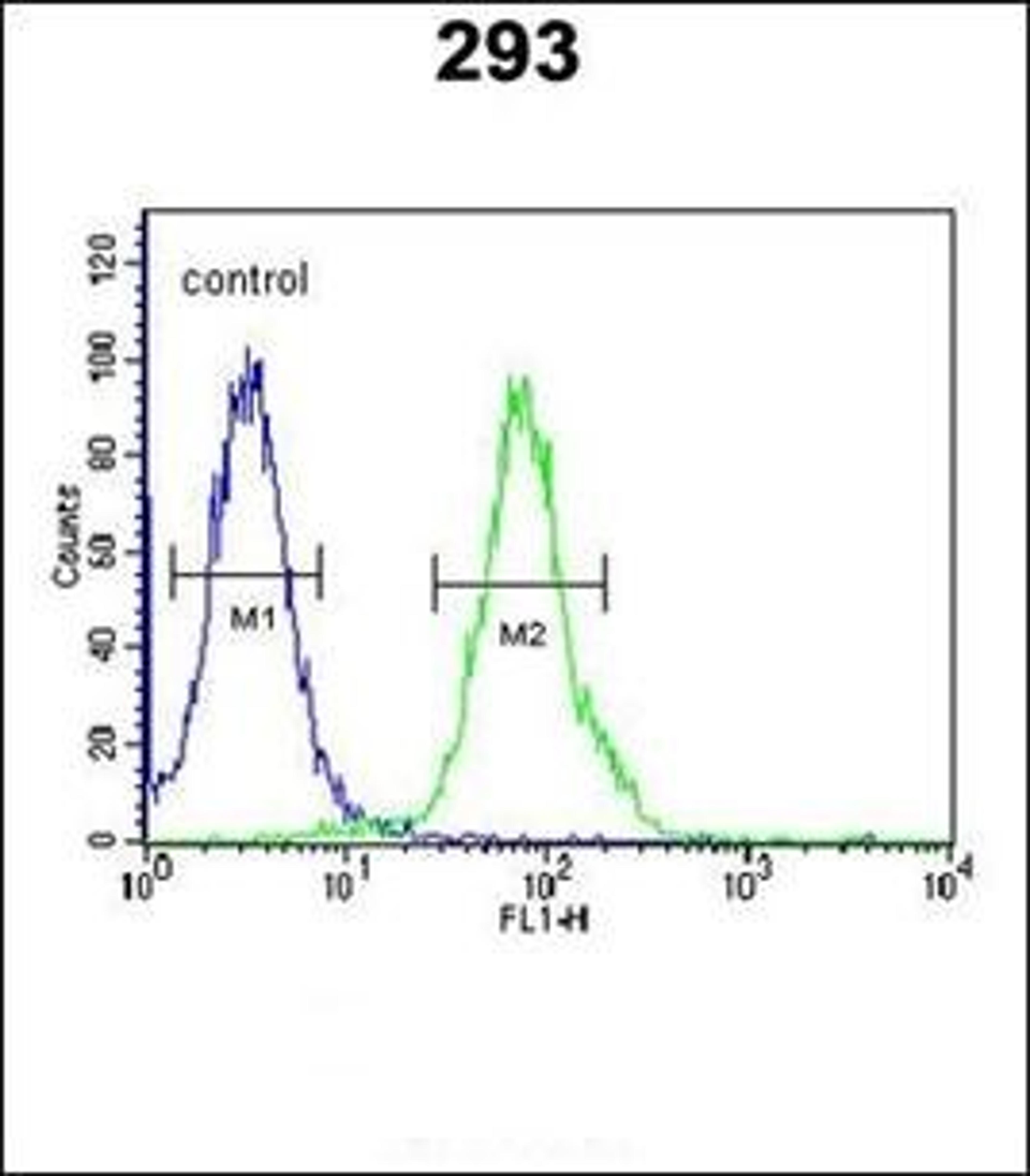 Flow cytometric analysis of 293 cells using RTKN2 antibody (primary antibody dilution at: 1:10-50)