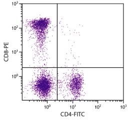 Feline peripheral blood lymphocytes were stained with Mouse Anti-Feline CD8-PE (Cat. No. 99-196) and Mouse Anti-Feline CD4-FITC .