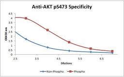 Line graph illustrates about the Ag-Ab reactions using different concentrations of antigen and serial dilutions of using AKT pS473 antibody (Biotin)