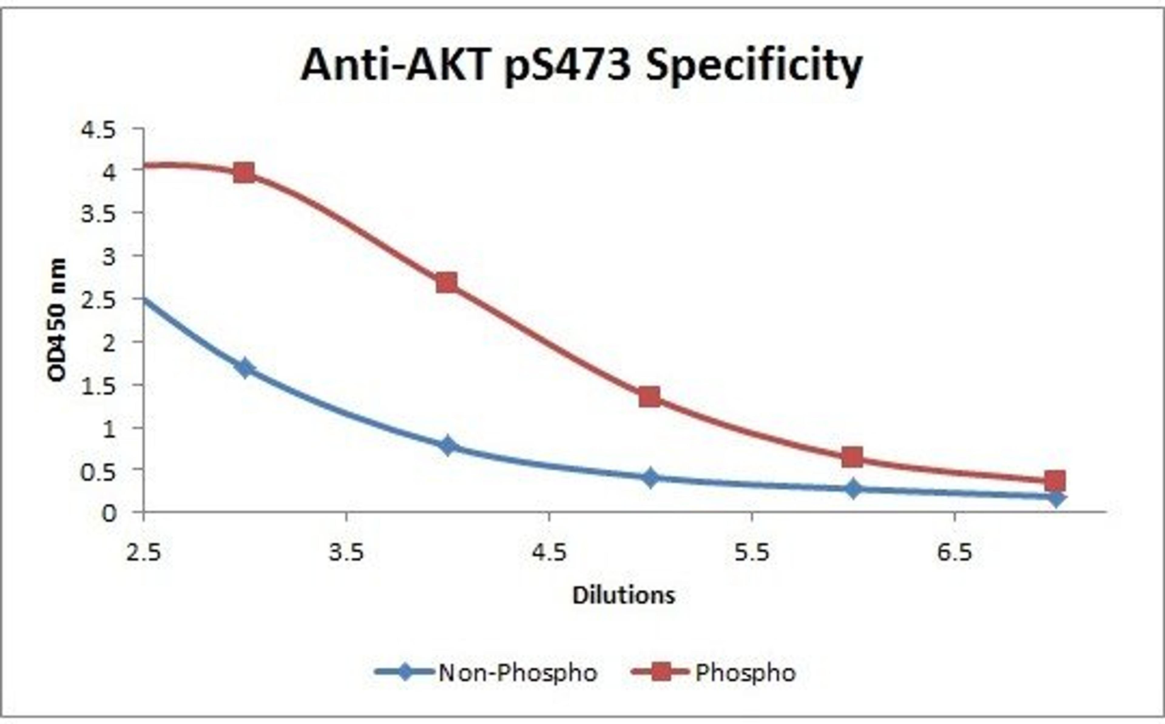 Line graph illustrates about the Ag-Ab reactions using different concentrations of antigen and serial dilutions of using AKT pS473 antibody (Biotin)