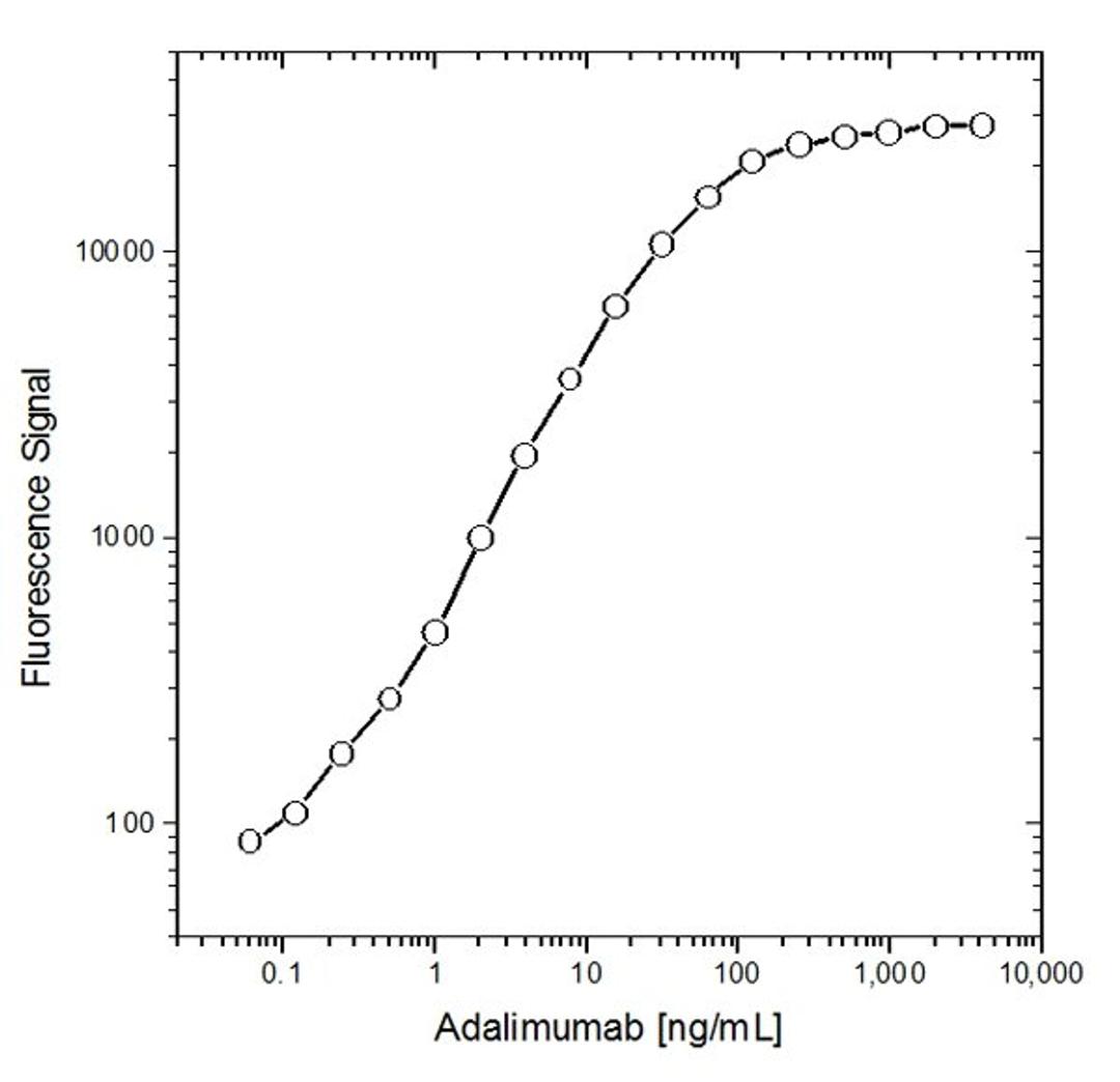 Detection of Human Fc (CH2) using Mouse anti Human Fc specific:HRP antibody