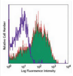 Flow cytometric analysis of human peripheral blood lymphocytes using CD95 antibody (Biotin)