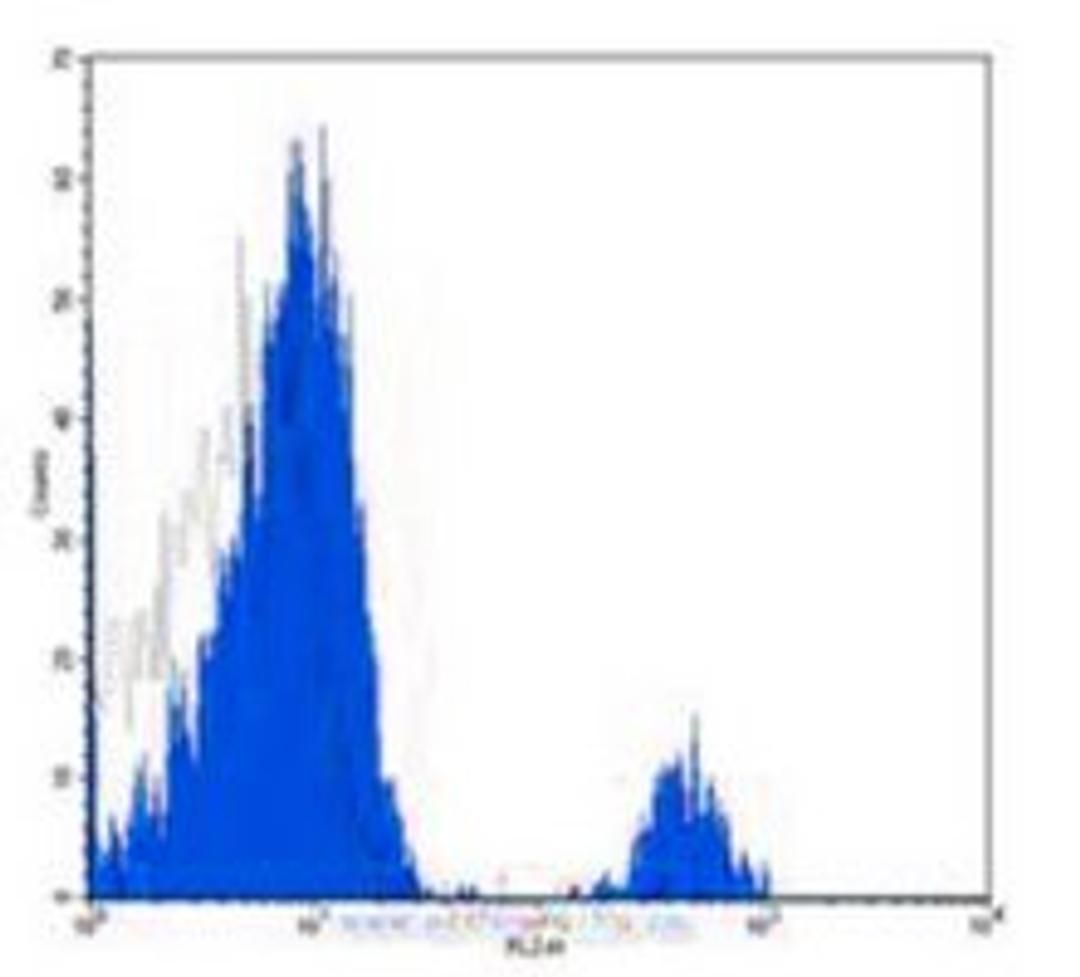 Flow cytometric analysis of human peripheral blood lymphocytes using CD37 antibody (PE)