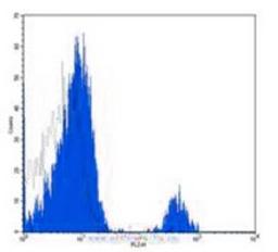 Flow cytometric analysis of human peripheral blood lymphocytes using CD37 antibody (PE)