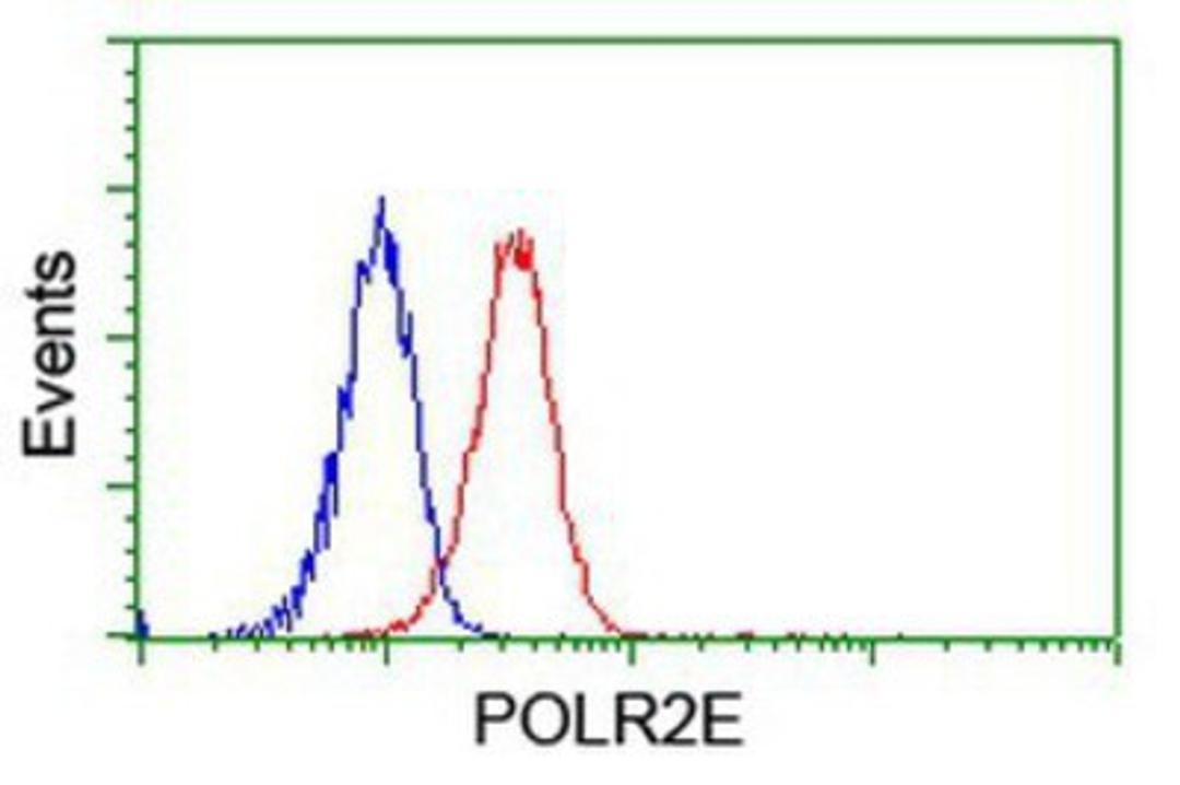 Flow Cytometry: POLR2E Antibody (3B5) [NBP2-00482] - Analysis of Jurkat cells, using anti-POLR2E antibody, (Red), compared to a nonspecific negative control antibody (Blue).