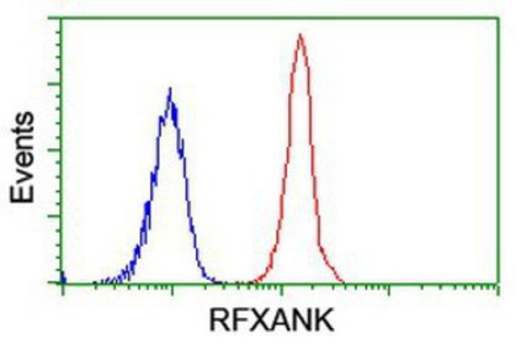 Flow Cytometry: RFXANK Antibody (3E7) [NBP2-01756] - Analysis of Jurkat cells, using anti-RFXANK antibody, (Red), compared to a nonspecific negative control antibody (Blue).