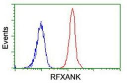 Flow Cytometry: RFXANK Antibody (3E7) [NBP2-01756] - Analysis of Jurkat cells, using anti-RFXANK antibody, (Red), compared to a nonspecific negative control antibody (Blue).