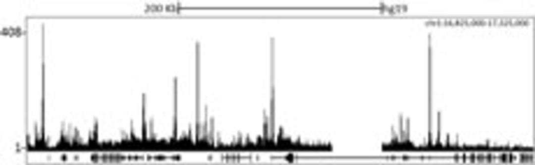 Localization of Jarid1C Binding Sites by ChIP-sequencing.