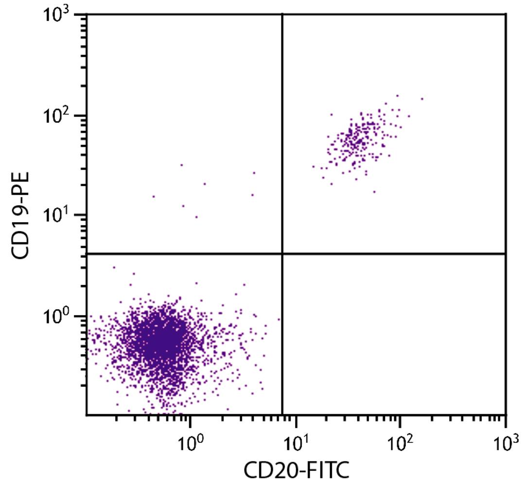 Human peripheral blood lymphocytes were stained with Mouse F(ab’)2 Anti-Human CD20-FITC (Cat. No. 99-372) and Mouse Anti-Human CD19-PE .