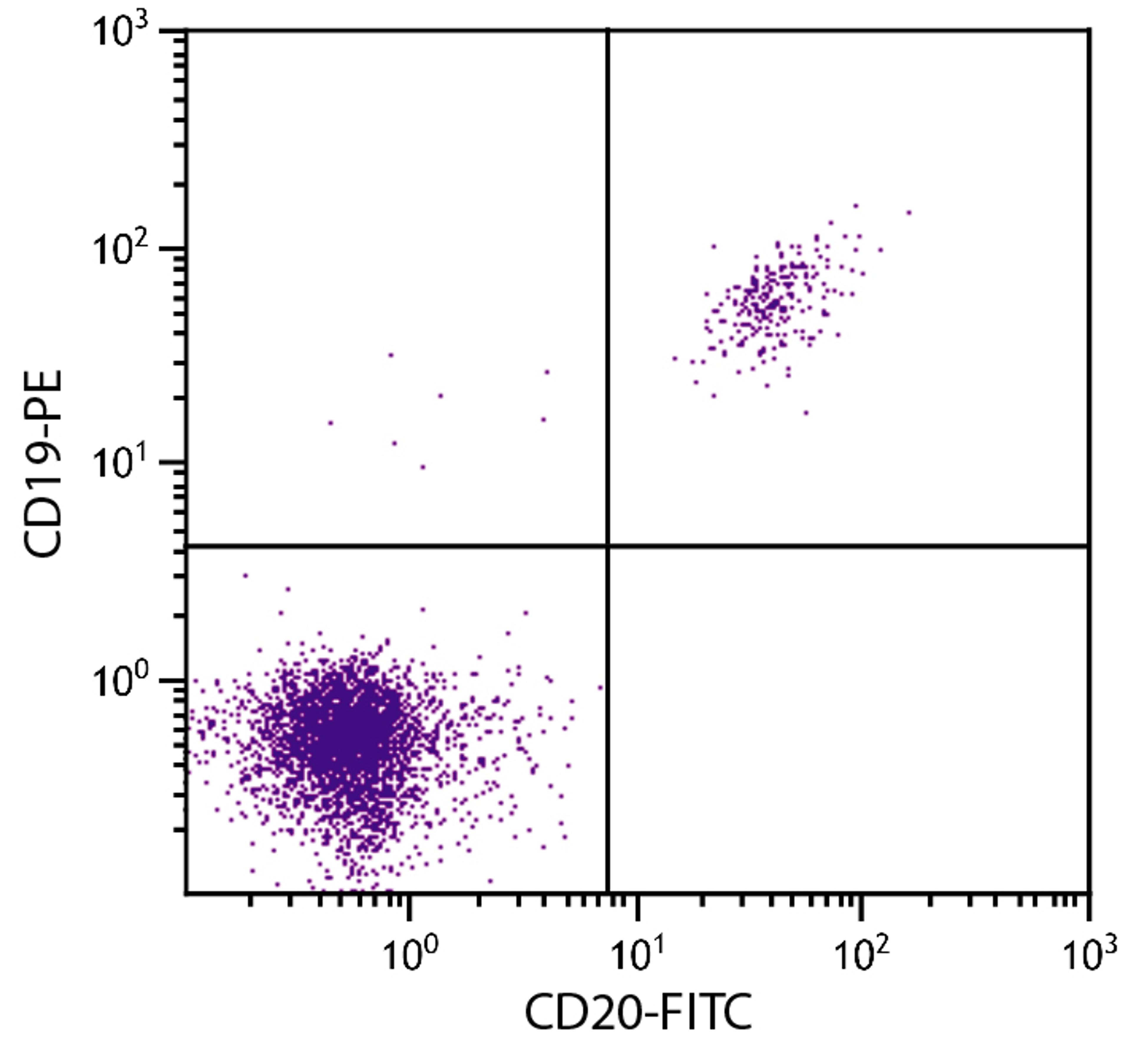 Human peripheral blood lymphocytes were stained with Mouse F(ab’)2 Anti-Human CD20-FITC (Cat. No. 99-372) and Mouse Anti-Human CD19-PE .