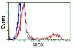 Flow Cytometry: MIOX Antibody (4G7) [NBP2-02771] - HEK293T cells transfected with either overexpression plasmid (Red) or empty vector control plasmid (Blue) were immunostained by anti-MIOX antibody, and then analyzed by flow cytometry.