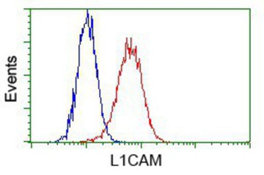 Flow Cytometry: L1CAM Antibody (2A6) [NBP2-02149] - Analysis of Hela cells, using anti-L1CAM antibody, (Red) compared to a nonspecific negative control antibody (Blue).