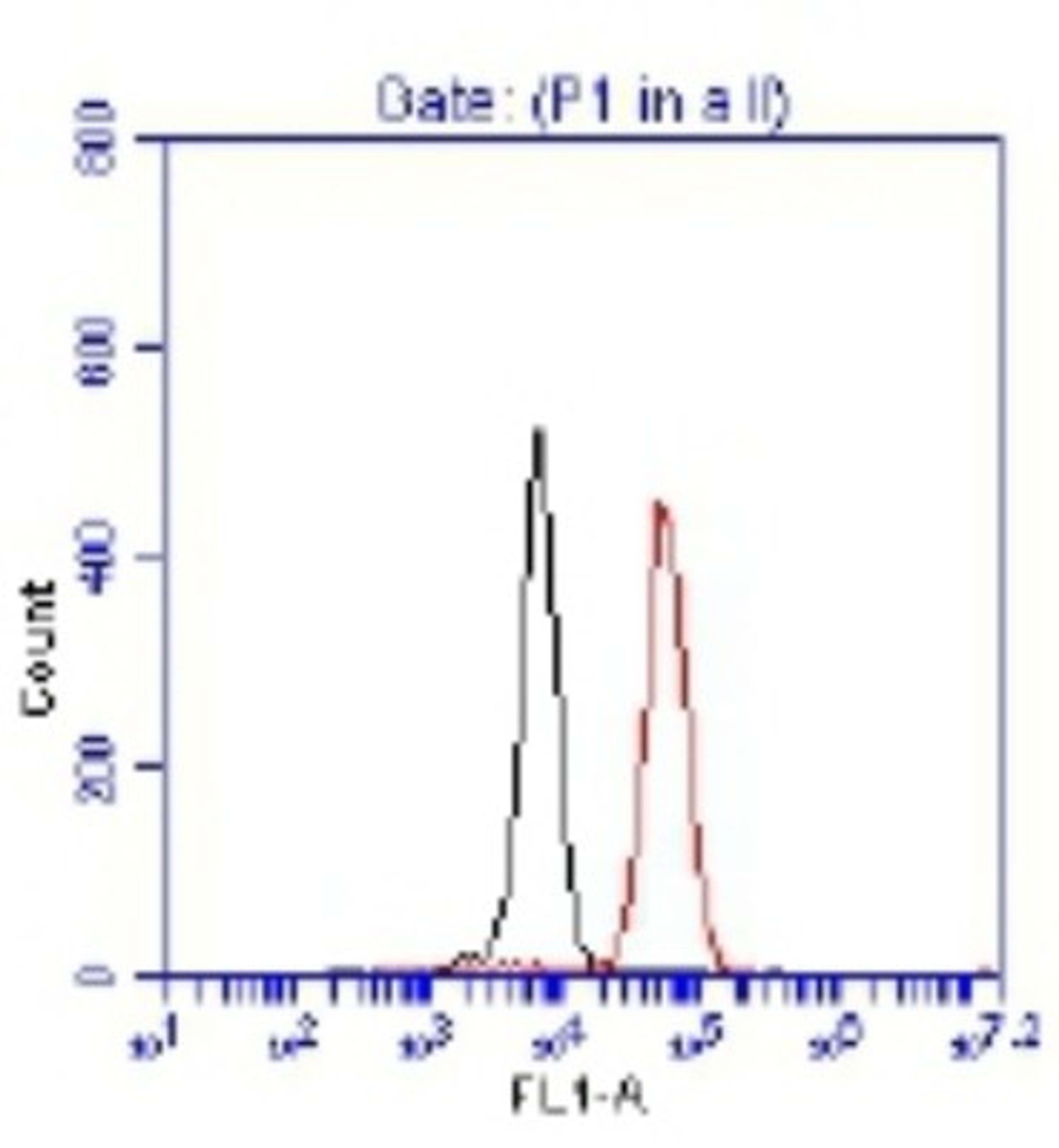 Flow Cytometry: p53 Antibody [NB200-171] - p53 in Jurkat Cells, fixed in 1.5% PFA, and permeabilized in 90% Methanol. 1 million cells were stained with 1.5 ug anti-KLH IgG control or anti-p53 NB200-171 and secondary FITC-conjugated goat anti-rabbit (in a 150ul reaction). Black- anti-KLH control IgG; Red- anti-HDMX.