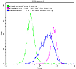Untransfected KATO3 cells (green line), transfected Human CLDN18.2 KATO3 stable cells (red line) and transfected Human CLDN18.1 NIH-3T3 stable cells (blue line) were stained with anti-CLDN18.2 antibody (2µg/1*10<sup>6</sup> cells), washed and then followed by FITC-conjugated anti-Human IgG Fc antibody and analyzed with flow cytometry.