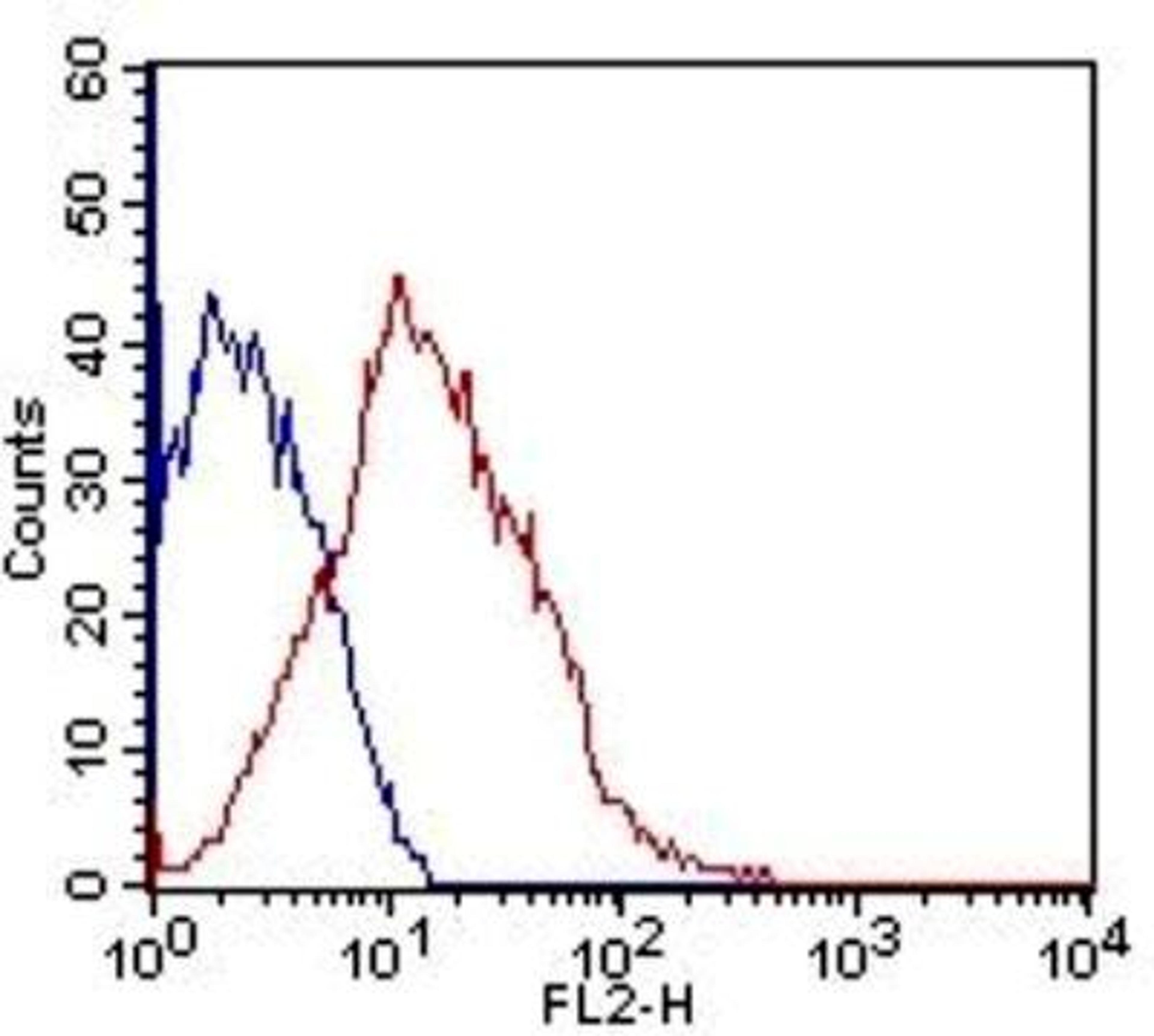 Flow Cytometry: Flt-3/Flk-2/CD135 Antibody (7E8.2C8) [NBP2-42210] - HEK293 cells were stained (surface) with Flt-3/Flk-2/CD135 antibody (clone: 7E8.2C8; red) or isotype control (mouse IgG2 lambda; blue) and positive staining observed using PE conjugated mouse anti-IgG(H+L) secondary antibody. Live cells (PPI negative) were gated for analysis