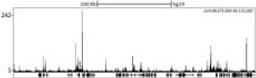 Localization of NCoR Binding Sites by ChIP-sequencing.