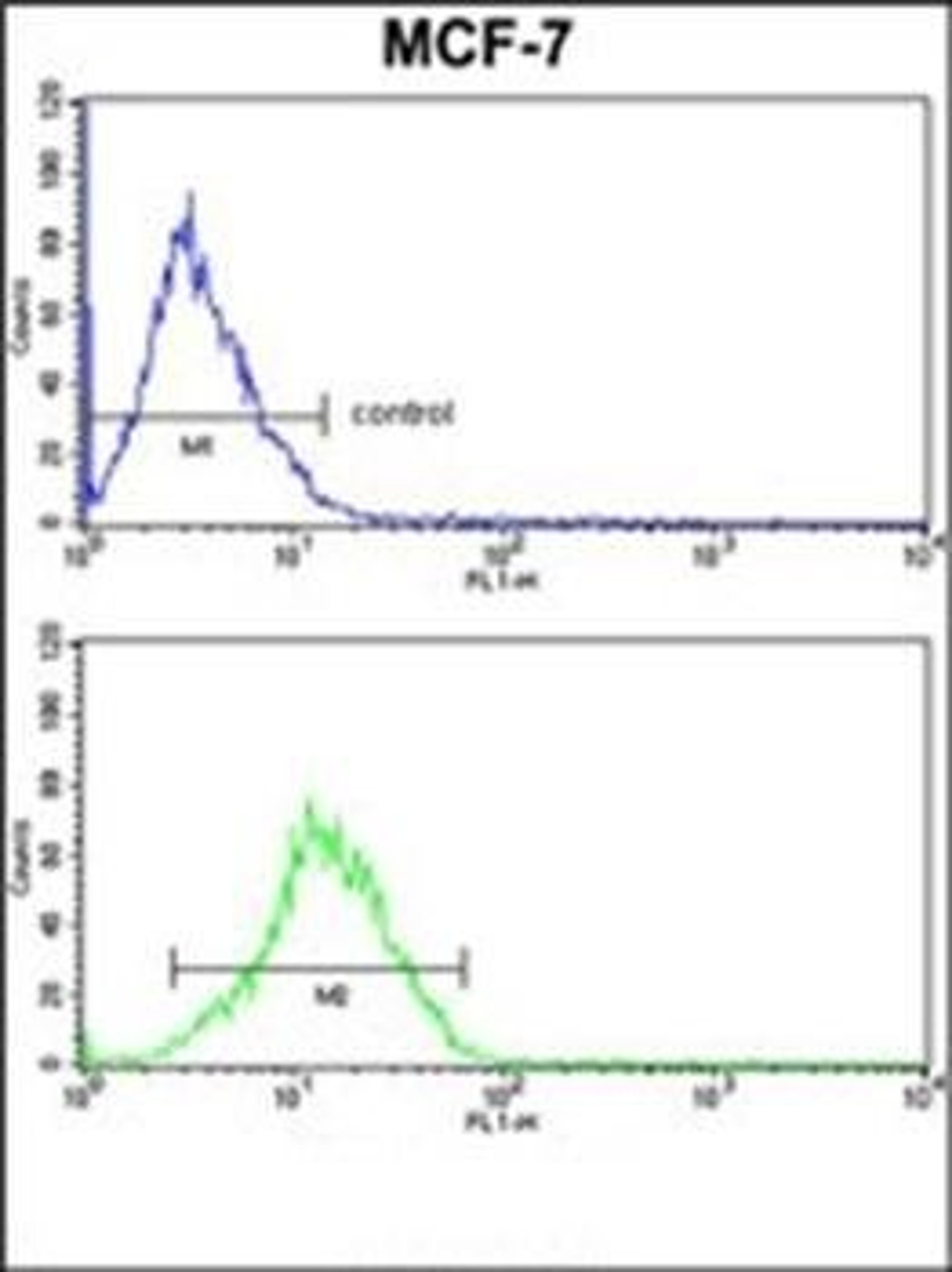 Flow cytometric analysis of MCF-7 cells using RBM3 antibody (primary antibody dilution at: 1:10-50)