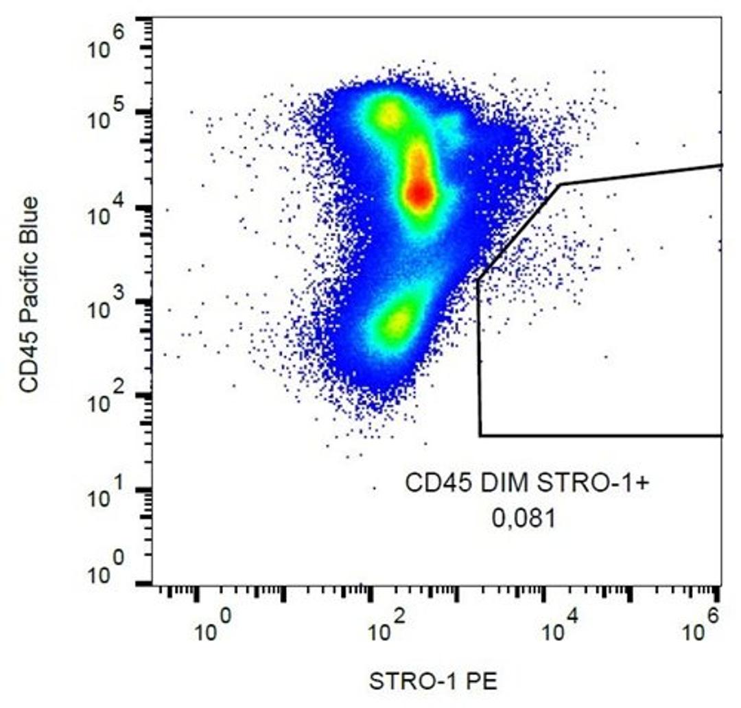 Flow cytometric analysis of human peripheral blood cells using STRO-1 antibody (PE)