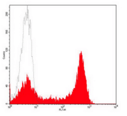 Flow cytometric analysis of human peripheral blood lymphocytes using CD62L antibody (FITC)