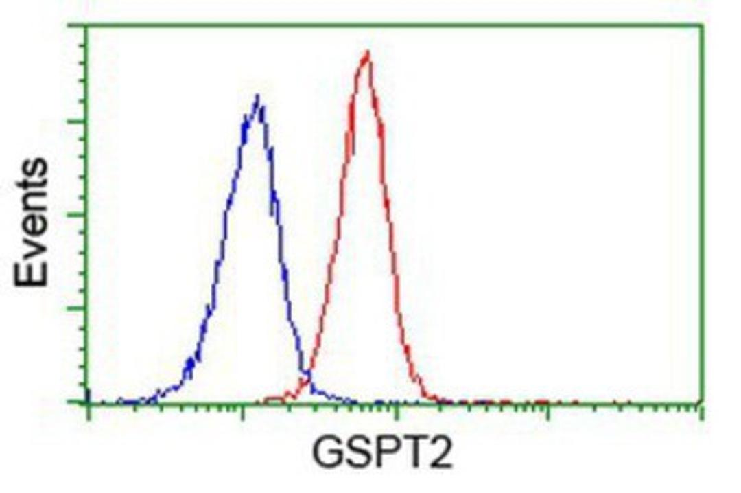 Flow Cytometry: GSPT2 Antibody (2G9) [NBP2-00873] - Analysis of Jurkat cells, using anti-GSPT2 antibody, (Red), compared to a nonspecific negative control antibody (Blue).