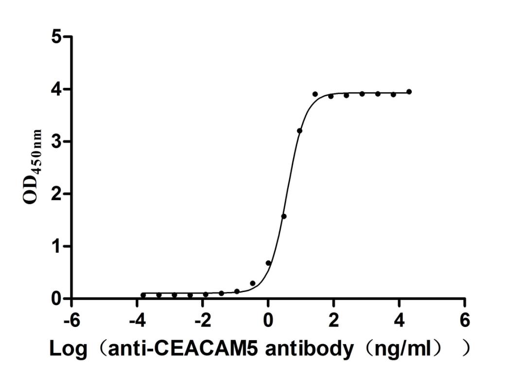 The Binding Activity of Cynomolgus CEACAM5 with Anti-CEACAM5 Recombinant Antibody. Activity: Measured by its binding ability in a functional ELISA. Immobilized Cynomolgus CEACAM5 (CSB-MP5152MOW) at 2μg/mL can bind Anti-CEACAM5 recombinant antibody. The EC<sub>50</sub> is 3.572-4.044 ng/mL.