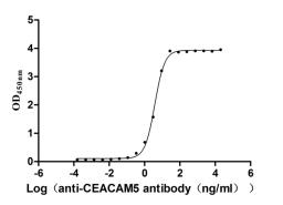 The Binding Activity of Cynomolgus CEACAM5 with Anti-CEACAM5 Recombinant Antibody. Activity: Measured by its binding ability in a functional ELISA. Immobilized Cynomolgus CEACAM5 (CSB-MP5152MOW) at 2μg/mL can bind Anti-CEACAM5 recombinant antibody. The EC<sub>50</sub> is 3.572-4.044 ng/mL.