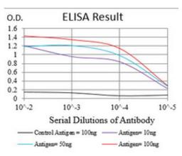 ELISA: NBS1 Antibody (7E4A2) [NBP2-26297]