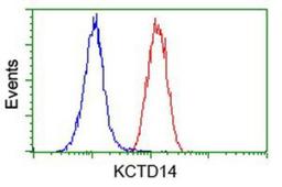 Flow Cytometry: KCTD14 Antibody (1D11) [NBP2-00470] - Analysis of Hela cells, using anti-KCTD14 antibody, (Red), compared to a nonspecific negative control antibody (Blue).