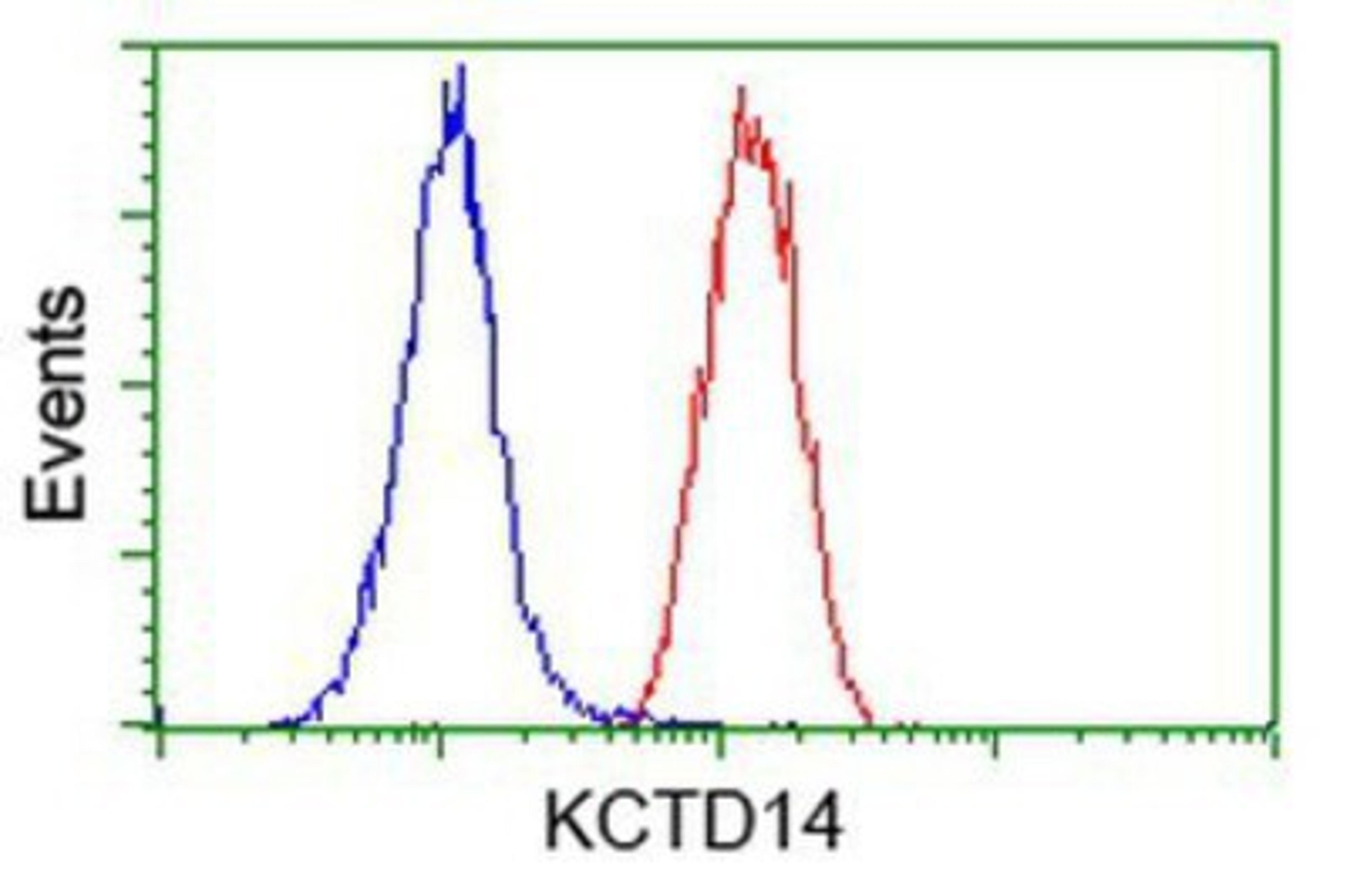 Flow Cytometry: KCTD14 Antibody (1D11) [NBP2-00470] - Analysis of Hela cells, using anti-KCTD14 antibody, (Red), compared to a nonspecific negative control antibody (Blue).