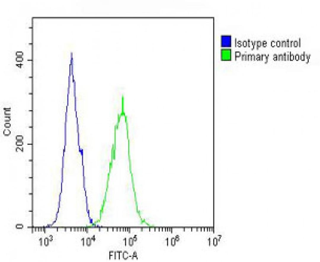 Overlay histogram showing A431 cells stained with Antibody (green line). The cells were fixed with 2% paraformaldehyde (10 min) and then permeabilized with 90% methanol for 10 min. The cells were then icubated in 2% bovine serum albumin to block non-speci