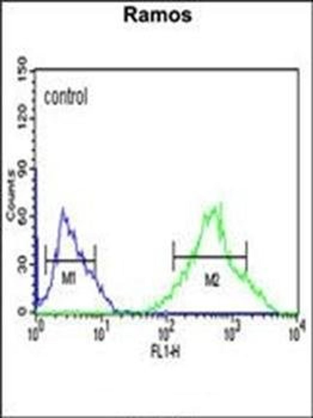 Flow cytometric analysis of Ramos cells using GSTP1 antibody (primary antibody dilution at: 1:10-50)