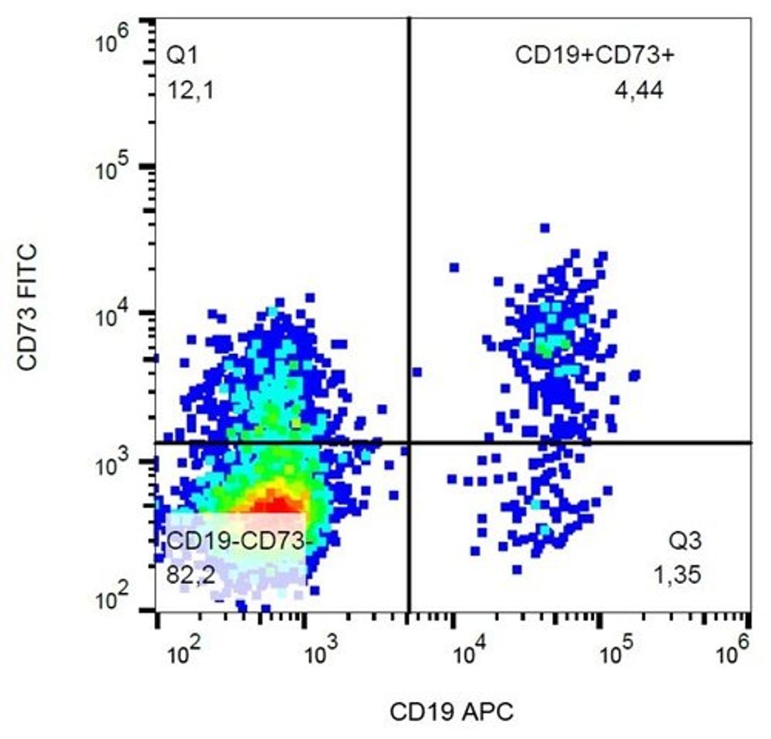 Flow cytometric analysis of human peripheral blood cells using CD73 antibody (FITC)