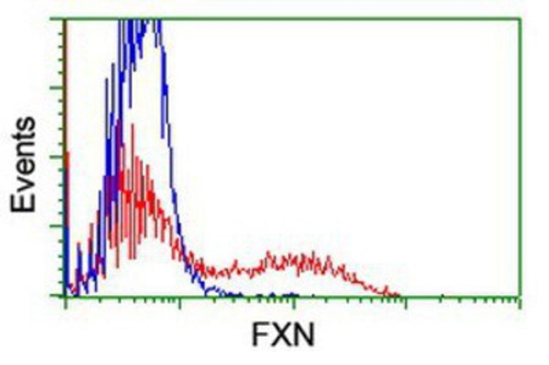 Flow Cytometry: Frataxin Antibody (1C12) [NBP2-01743] - HEK293T cells transfected with either overexpression plasmid (Red) or empty vector control plasmid (Blue) were immunostained by anti-Frataxin antibody, and then analyzed by flow cytometry.