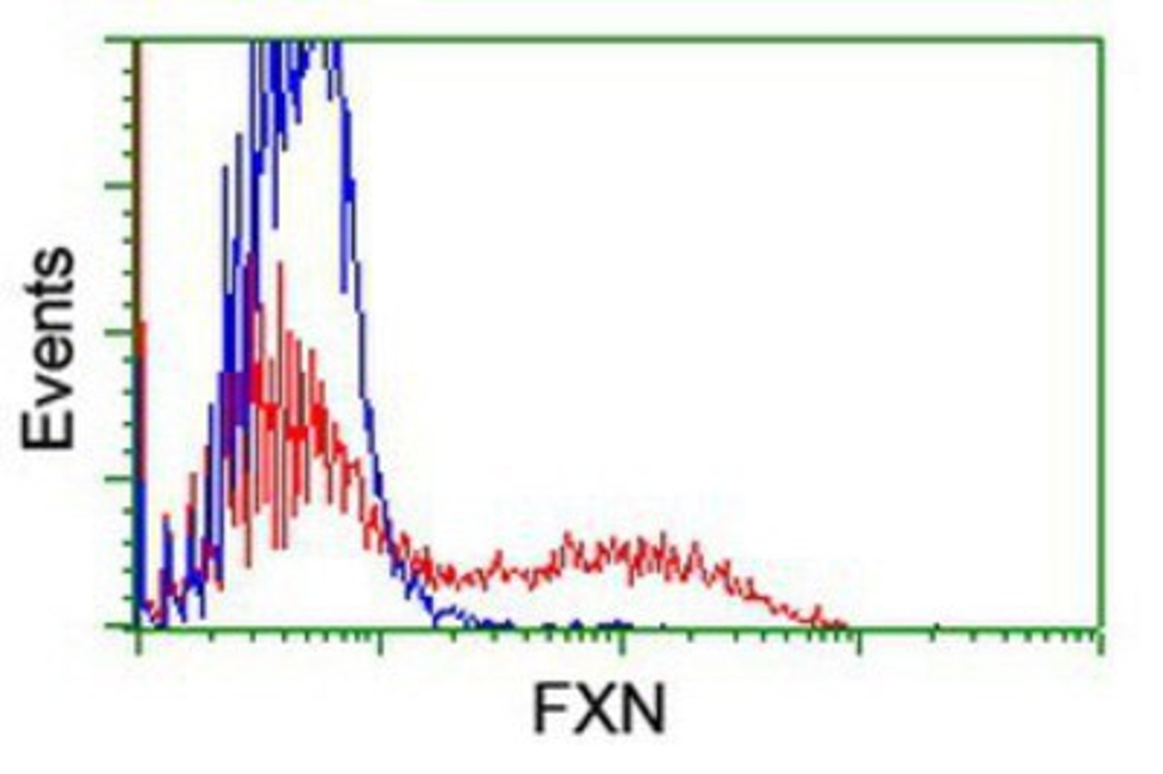 Flow Cytometry: Frataxin Antibody (1C12) [NBP2-01743] - HEK293T cells transfected with either overexpression plasmid (Red) or empty vector control plasmid (Blue) were immunostained by anti-Frataxin antibody, and then analyzed by flow cytometry.