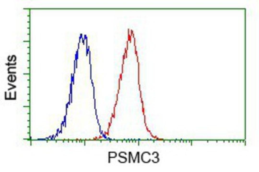 Flow Cytometry: PSMC3 Antibody (9F3) [NBP2-02316] - Analysis of Jurkat cells, using anti-PSMC3 antibody, (Red) compared to a nonspecific negative control antibody (Blue).