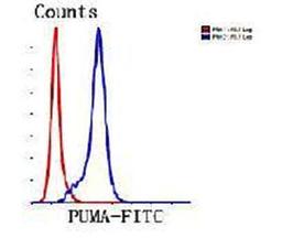 Flow cytometric analysis of Jurkat cells using PUMA antibody